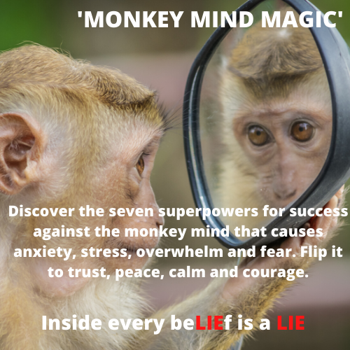 Monkey Mind Magic – Vickie Magic